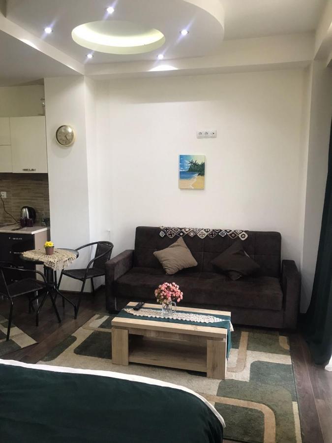 Luxury Studio Ortachala Tbilisi Eksteriør billede